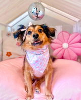 @agirlstraveltails review photo