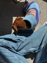 slink review photo