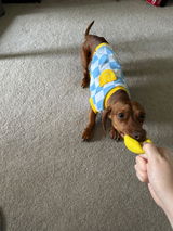 slink review photo