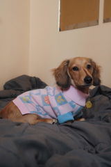 Finntheweeny review photo