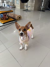 daisy🌼 review photo