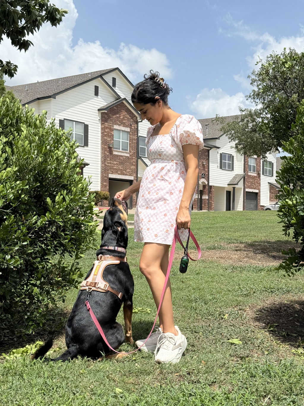 Dog Harness