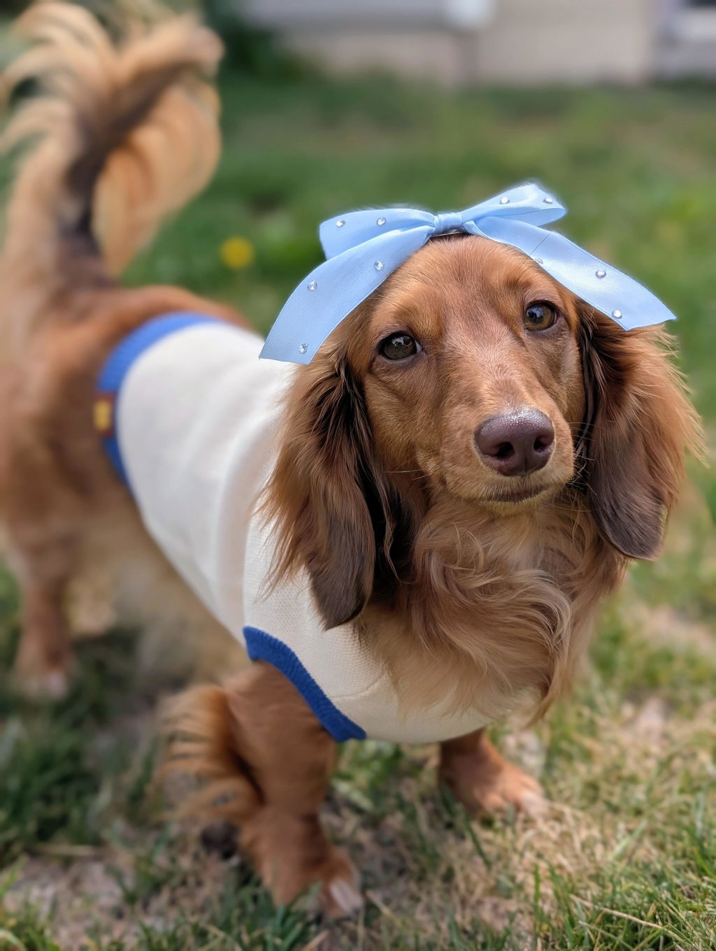 Sassy Woof x Sunbean Dog Tee