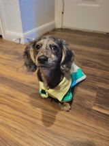 Itsmilothedoxie review photo