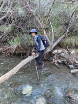 Hiker Dede review photo