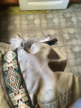 LiveFiercely review photo