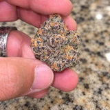 Tony V review photo