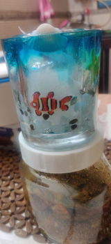 A.B. review photo