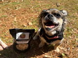 Baylee review photo