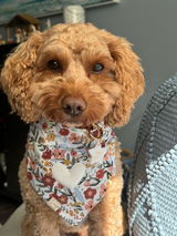 Toby review photo