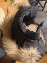 LT review photo