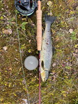 Kjetil review photo