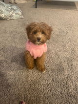 AshleyC review photo