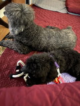 Wilma W. review photo