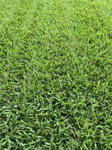 James Craft review photo
