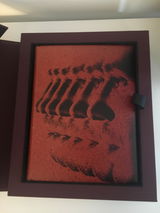Sylwia D. review photo