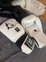 SENTINEL BOXING GLOVES