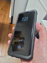 Sergio review photo