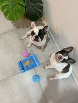 Frankie & Opie review photo