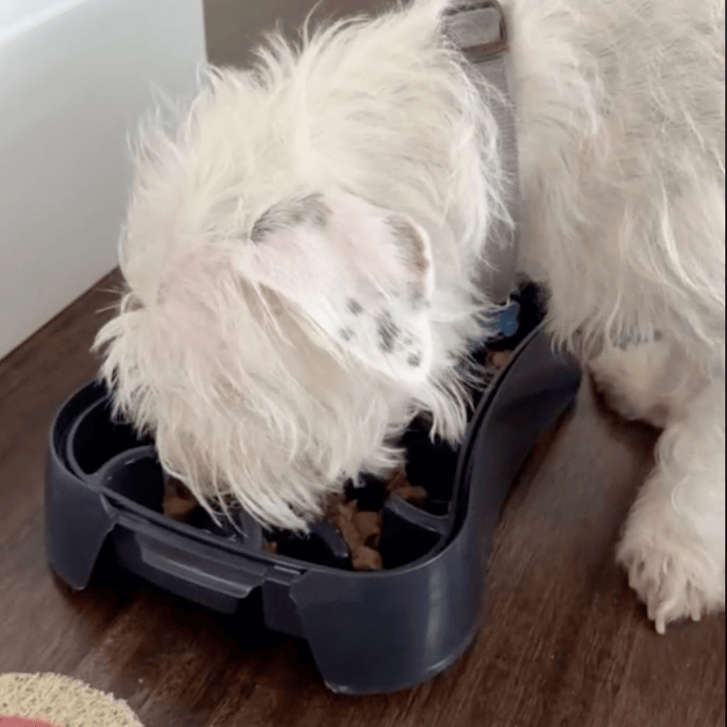 Super Feedy 4-in-1 Slow Feeding System for Small Dogs
