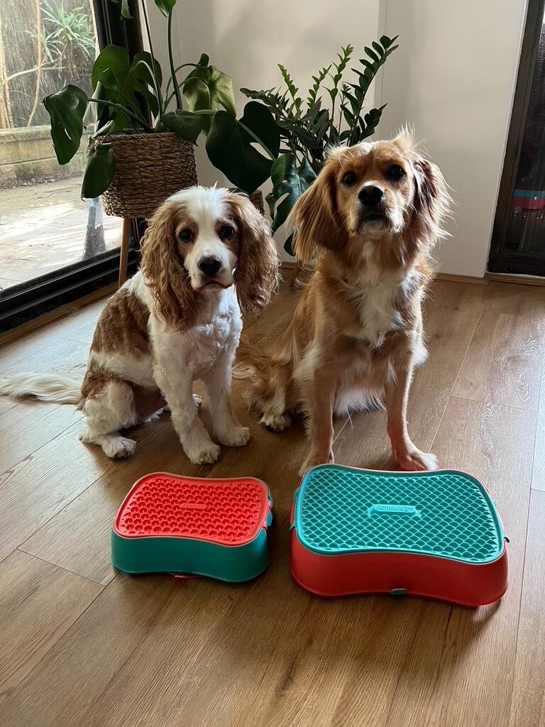 Super Feedy 4-in-1 Slow Feeding System for Small Dogs