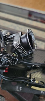 L.Z. review photo