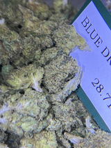 Robert l.F. review photo