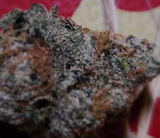 ReefMD review photo