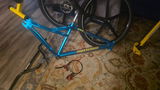 Roy Rosa review photo