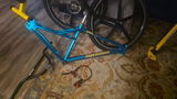 Roy Rosa review photo