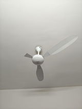Kishor review photo