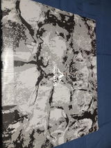 Carlos R. review photo