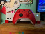 Emily F. review photo