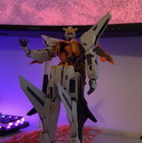 Kim review photo