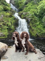 Derry Gertie and Super Special Mabel. review photo