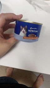 kelllycat review photo