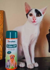 Pranav Govande review photo