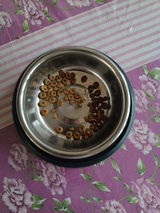 Irene review photo