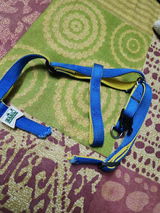 Vidur Patel review photo