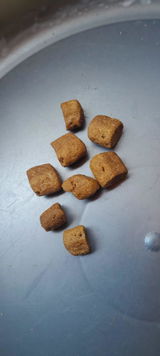 Rohit review photo