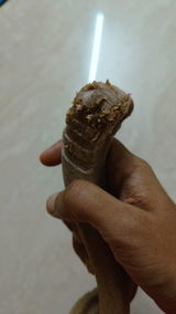 Snehal Shetty review photo
