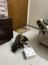 Abi review photo