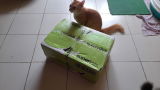 By Riooo review photo