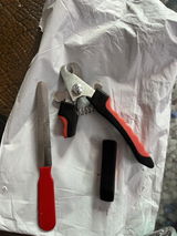 Rishu review photo