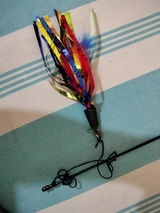 Shubhneet review photo