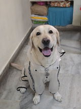 Harsha Vardhan N review photo