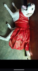 Pooja review photo