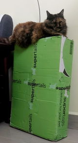Larahh review photo