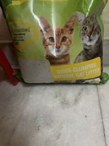 Pet pattern review photo