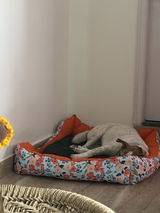 Renny review photo